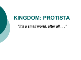 KINGDOM: PROTISTA