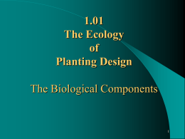1.01 The Biological Components