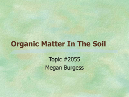 Organic Matter In The Soil