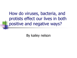 How do viruses, bacteria, and protists effect our lives in both positive