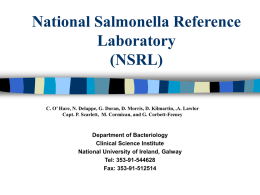 Interim National Salmonella Reference Laboratory