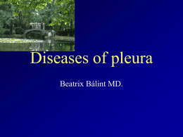 Diseases of pleura