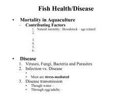Fish Health