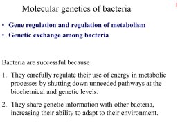 Molecular genetics of bacteria