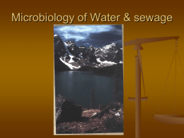 Microbiology of Water & sewage - Belle Vernon Area School District