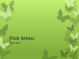 Tick bites: First aid