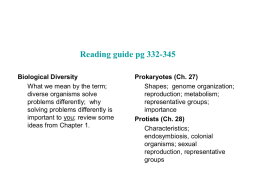 Protists (Ch. 28)