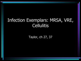 Infection Exemplars