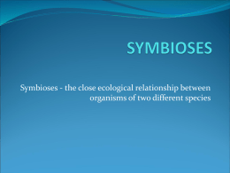 symbioses[1]