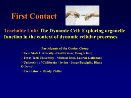 Dynamic Cell, Exploring Organelle Function (PowerPoint)