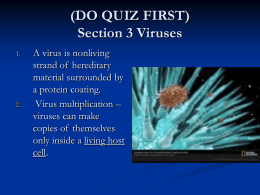 Section 3 Viruses