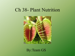 Ch 38- Plant Nutrition