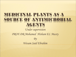 Medicinal Plants As a Source Of Antimicrobial Agents