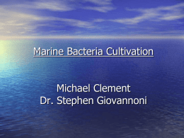Michael Clement Dr. Stephen Giovononi