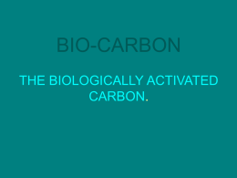 bio-carbon - Tola Organics