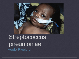 Streptococcus pneumoniae