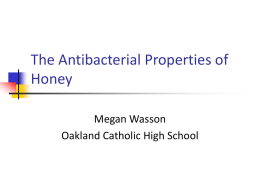 Wasson The Effect of Honey on E. Coli