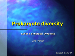 Prokaryote Diversity