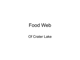 Food Web - Crater-lake
