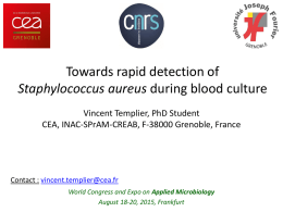 Towards rapid detection of Staphylococcus aureus during blood