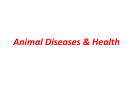 Animal Diseases & Health