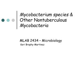 M. tuberculosis & Other Nontuberculous Mycobacteria