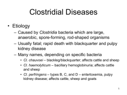 Clostridialdiseases2-English