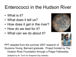 Enterococci as indicators of raw sewage in the Hudson River