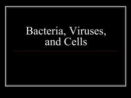 bacteria, viruses, and cells