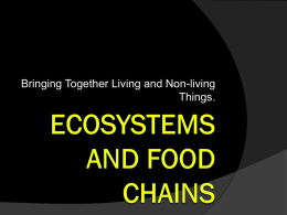 userfiles/1208/ecosystems and food chains