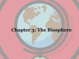 Chapter 3 Notes - Prof-desk