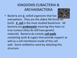 Chapter 18 Bacteria Notes