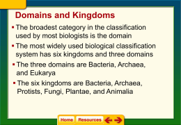 Domains and Kingdoms
