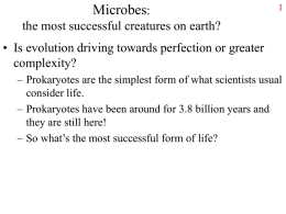 Microbes: the most successful creatures on earth?