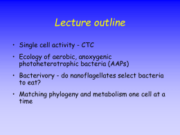 Sieracki_lecture1_july6 - C-MORE