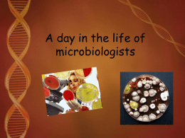 A_day_in_the_life_of_microbiologists