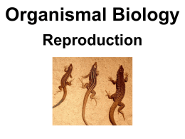 Organismal Biology: Reproduction