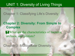 Chapter 2: Diversity: From Simple to Complex - ahs
