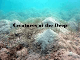 Creatures_of_the_Deep[1]