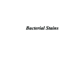 What is a stain?