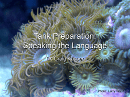 Tank Preparation: Speaking the Language