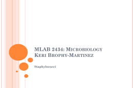 Pathology Resident Microbiology Lecture Series