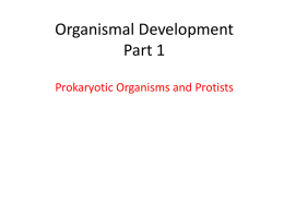 Organismal Development 1 PPT