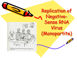 06 M401 (-)RNA Virus (Mono) 2012 - Cal State LA
