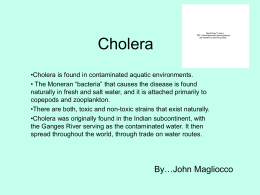 Cholera - St. Mary