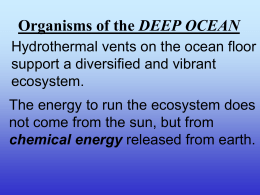 Organisms of the DEEP OCEAN