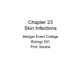 Chapter 23 Skin Infections