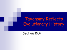 Taxonomy Reflects Evolutionary History