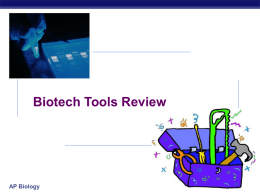 2005-2006 AP Biology Biotech Tools Review 2005
