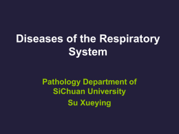 The Lung and the Upper Respiratory Tract